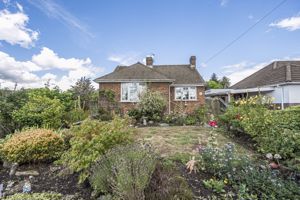 Photo 14- click for photo gallery